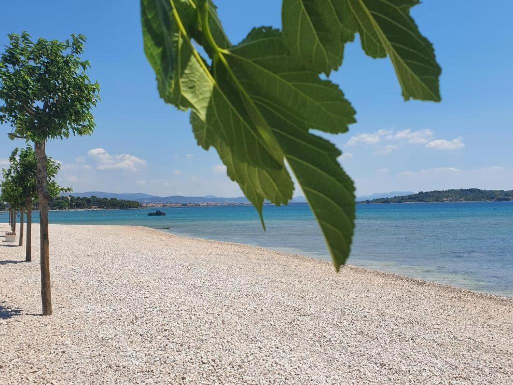 Apartment Apartments Vesna Vodice Vodice