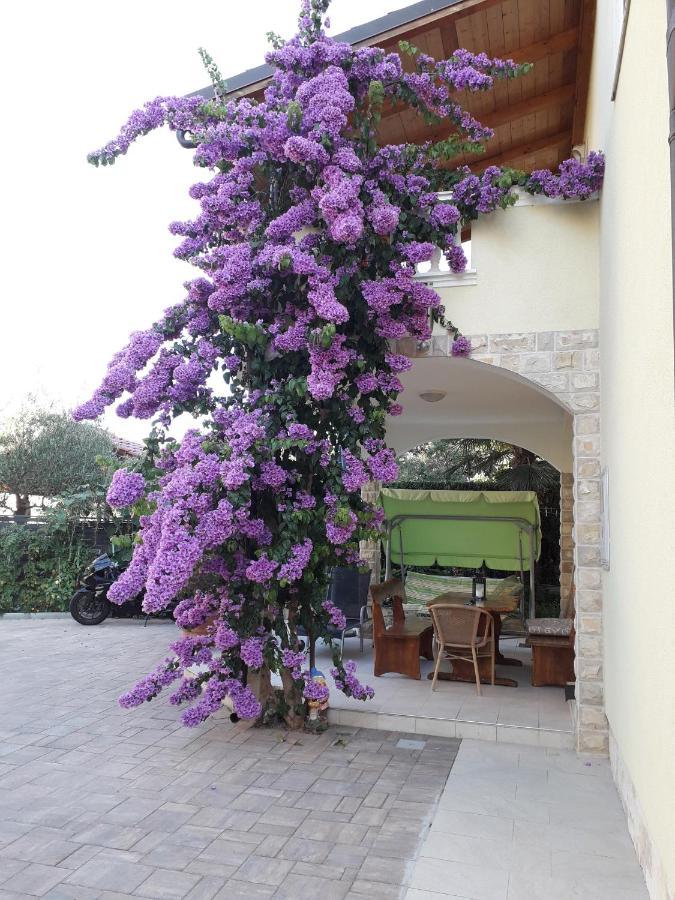 Apartments Vesna Vodice